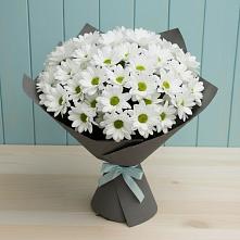 Букет цветов из:  Хризантемы в Казанской Краснодарского края