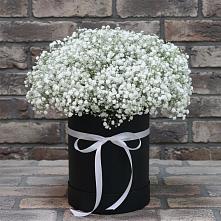 Цветочная композиция из Гипсофила в шляпной коробке в Казанской Краснодарского края