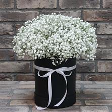Цветочная композиция из Гипсофила в шляпной коробке в Казанской Краснодарского края