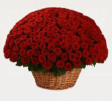 Премиум букет из: Розы в Казанской Краснодарского края