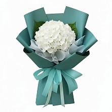 Букет цветов из:  Гортензия в Казанской Краснодарского края